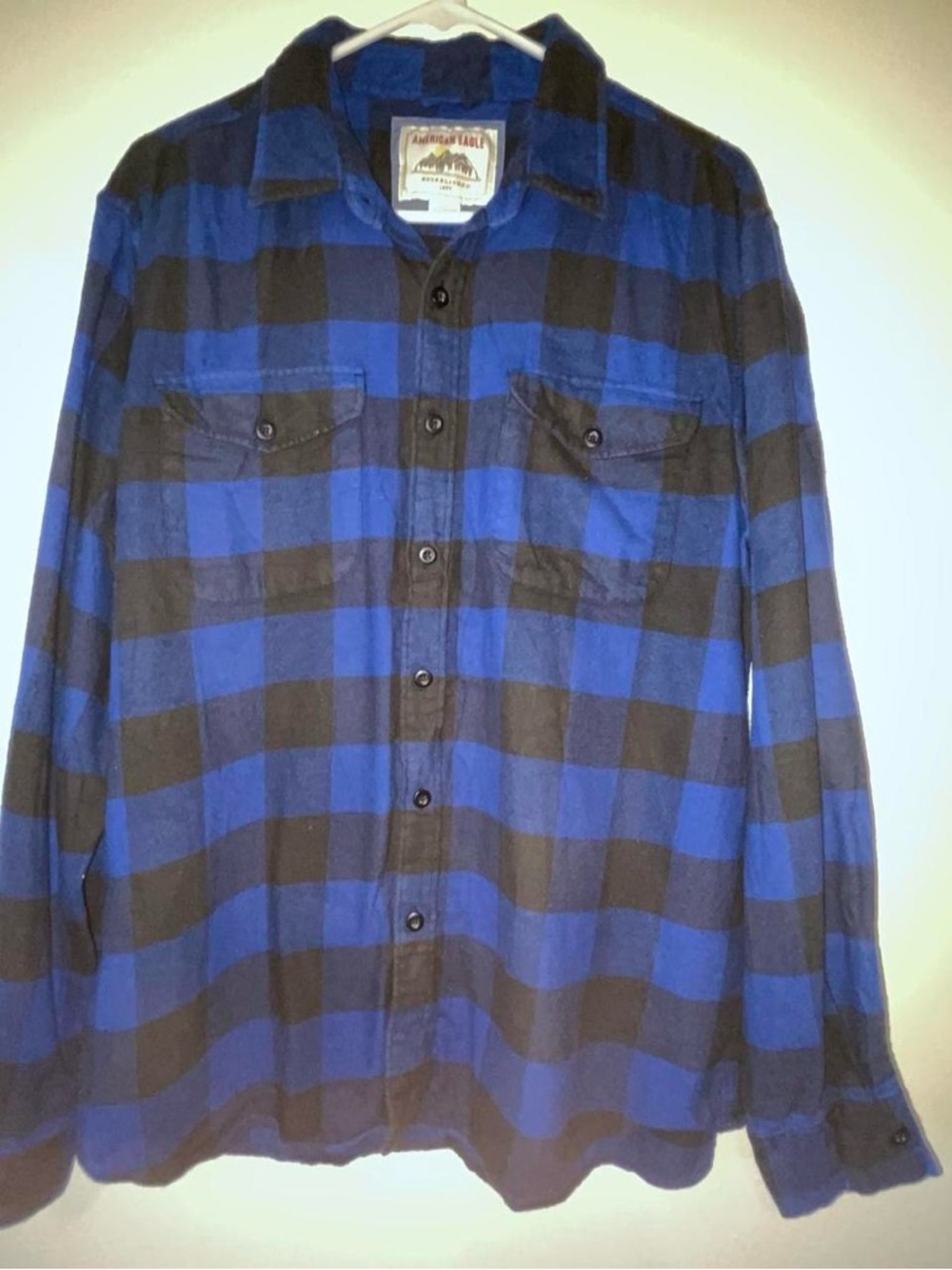 American Eagle Outfitters Blue and Black Plaid Button-Down Shirt
